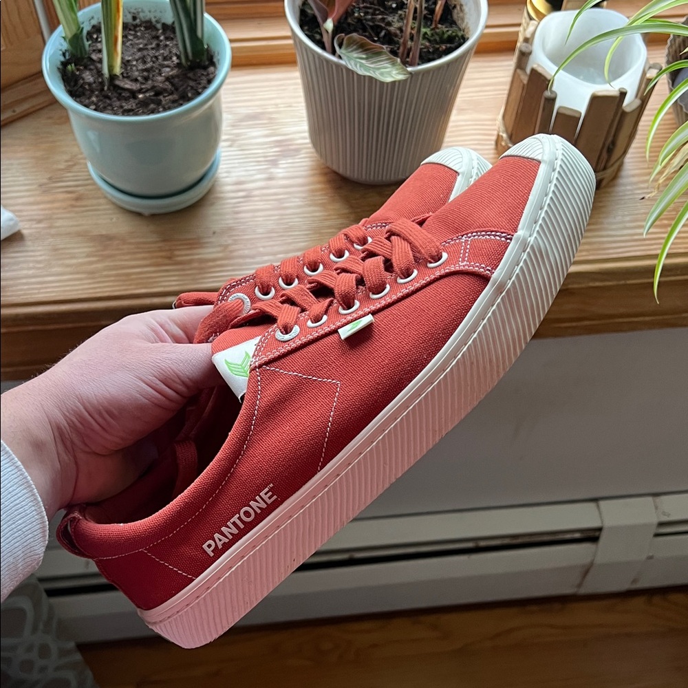 Cariuma x Pantone skate shoes